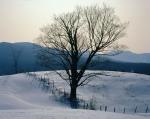 Scenery-Winter 70-30-05900