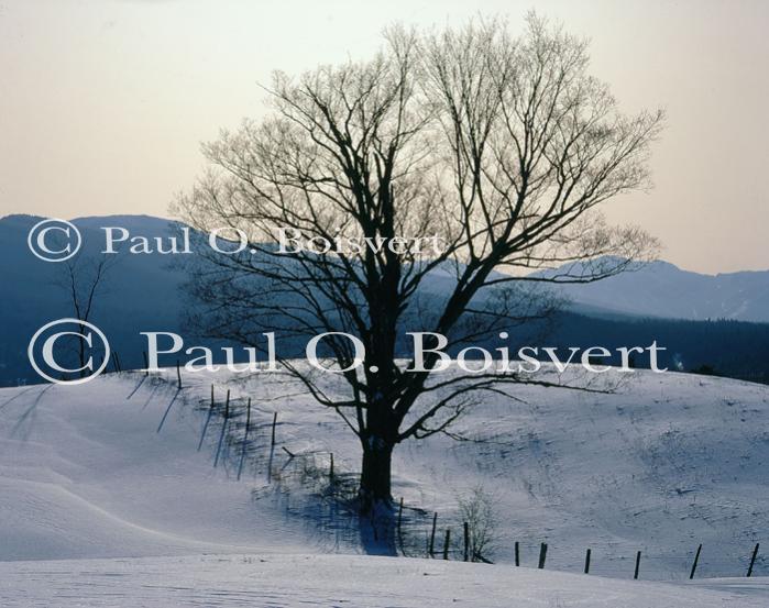 Scenery-Winter 70-30-05900