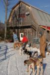 Sports-Dogsled 75-22-00285