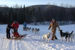 Sports-Dogsled 75-22-00321