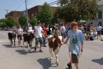 Enosburg Dairy Festival 65-31-00041
