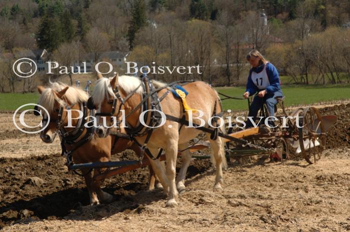 Billings Farm-Plowing Match 65-03-00019