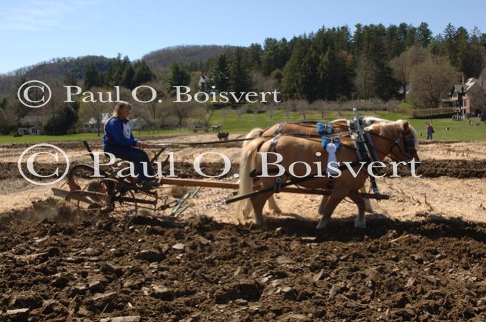 Billings Farm-Plowing Match 65-03-00022