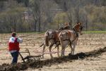 Billings Farm-Plowing Match 65-03-00044