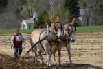 Billings Farm-Plowing Match 65-03-00047