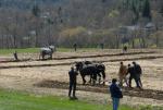Billings Farm-Plowing Match 65-03-00053