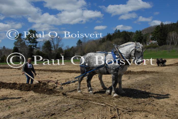 Billings Farm-Plowing Match 65-03-00054