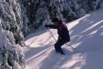Sports-Skiing 75-55-01756