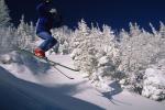 Sports-Skiing 75-55-02890