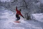 Sports-Skiing 75-55-03293
