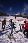 Sports-Skiing 75-55-03444