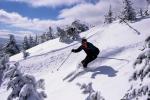 Sports-Skiing 75-55-03581