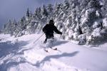 Sports-Skiing 75-55-03585