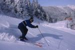 Sports-Skiing 75-55-03652