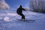 Sports-Skiing 75-55-07224