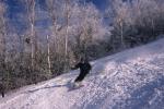 Sports-Skiing 75-55-07230