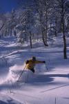 Sports-Skiing 75-55-07571