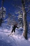 Sports-Skiing 75-55-07575