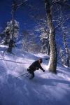 Sports-Skiing 75-55-07579