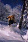 Sports-Skiing 75-55-07616