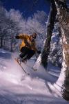 Sports-Skiing 75-55-07617