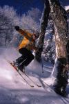 Sports-Skiing 75-55-07618