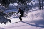 Sports-Skiing 75-55-07647