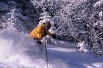Sports-Skiing 75-55-07725