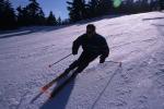 Sports-Skiing 75-55-07893