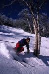 Sports-Skiing 75-55-08049