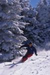 Sports-Skiing 75-55-08075
