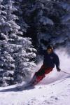 Sports-Skiing 75-55-08076
