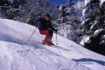 Sports-Skiing 75-55-08141