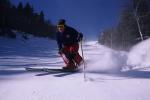 Sports-Skiing 75-55-08204