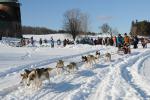 Shelburne Farms Winterfest 30-24-00063
