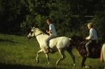 Sports-Horseback 27-78-00192
