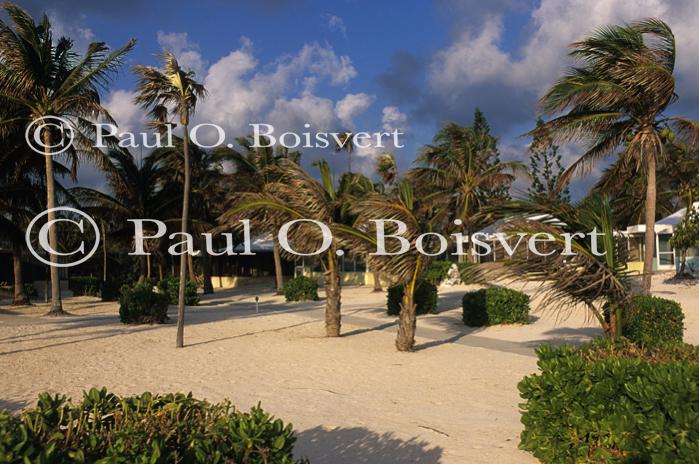 Cayman Island 90-17-00051