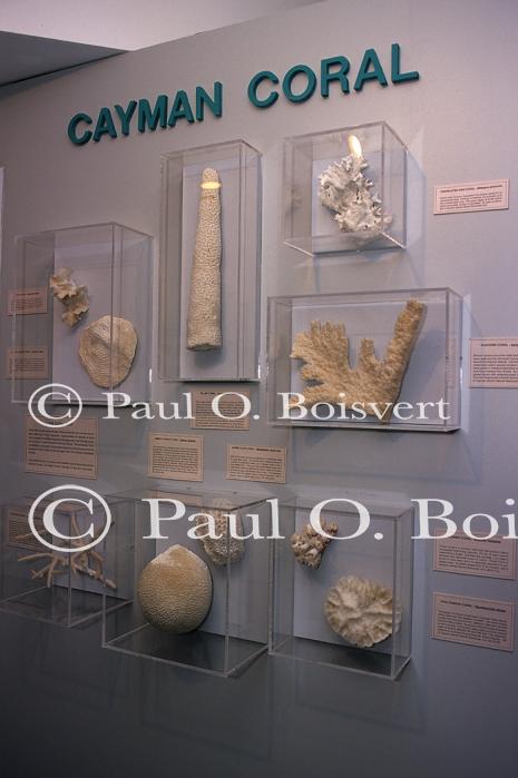 Cayman Island 90-17-00239