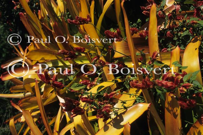 Cayman Island 90-17-00857