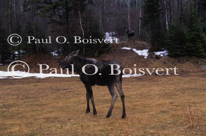 Coos County 90-20-00039