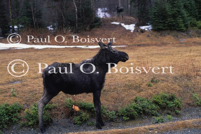 Coos County 90-20-00040