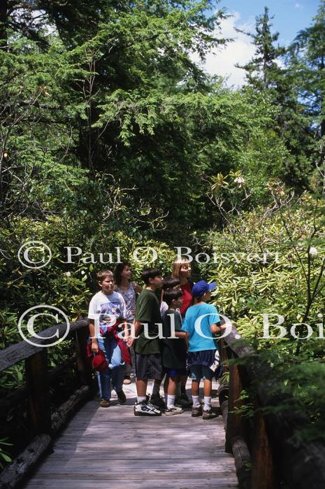 Monadnock 90-20-00142