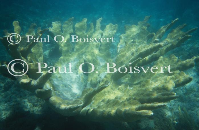 St Martin 90-40-00591