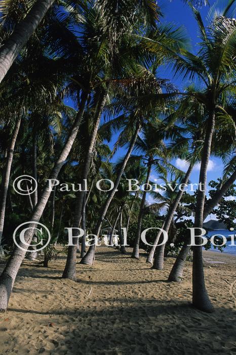 Tortola BVI 90-60-00607