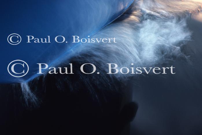 Sports-Sail 75-44-00110