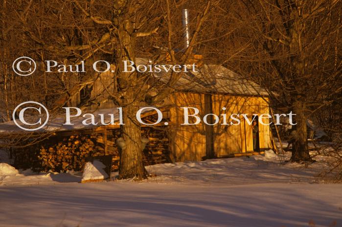 Maple Sugaring 30-20-01264