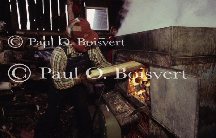 Maple Sugaring 30-20-01844