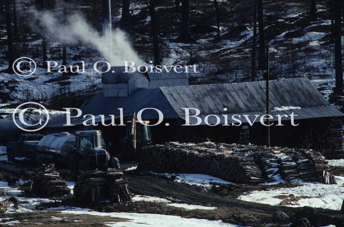 Maple Sugaring 30-20-03281