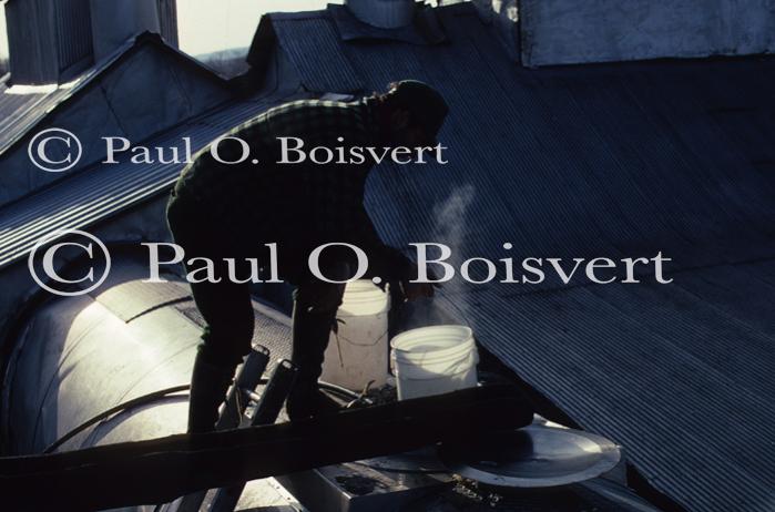 Maple Sugaring 30-20-03294