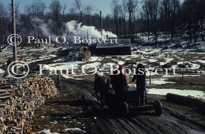 Maple Sugaring 30-20-03310
